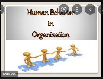 Human Behaviour in Organizations